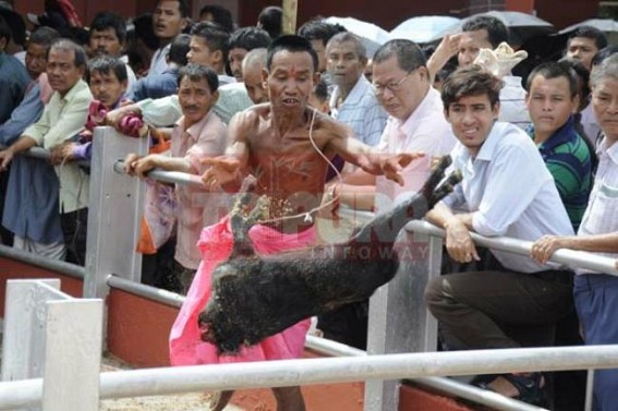 Superstitions yet occupies the mindset of people in golden era: Barbaric practice of Animal Sacrifice continues in Tripura’s 21st century blooding the soil of traditional Kharchi festival on Tuesday Superstitions yet occupies the mindset of people in golden era: Barbaric practice of Animal Sacrifice continues in Tripura’s 21st century blooding the soil of traditional Kharchi festival on Tuesday